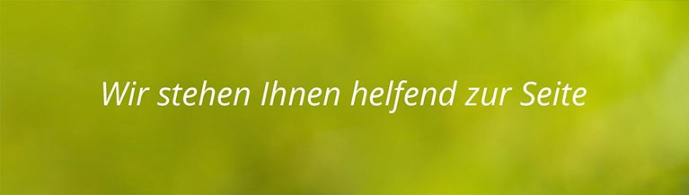 Grüne Fläche mit Text Grüne Fläche mit Text