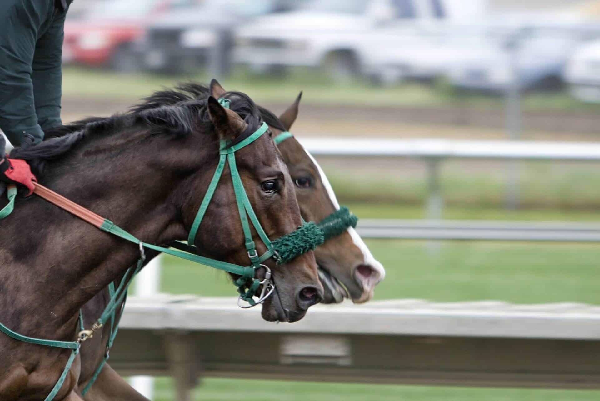 Latest Betting On Grand National Latest Betting On Grand National