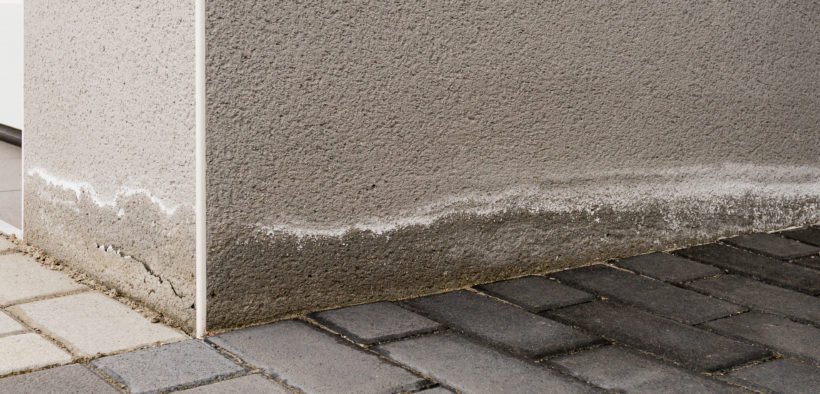 Feuchtes Mauerwerk: Aufsteigende Feuchtigkeit und Ausblühungen am Sockel eines Neubaus