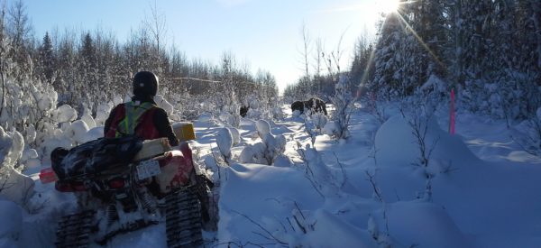 Northern Lights Oil Sands Exploration