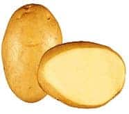 gialla-gialla