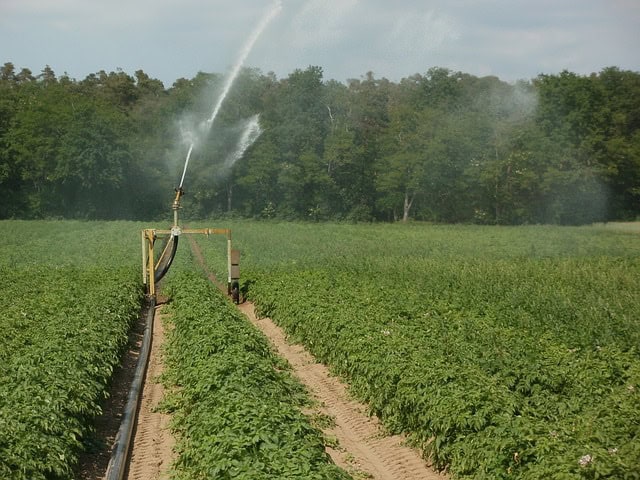 irrigazione