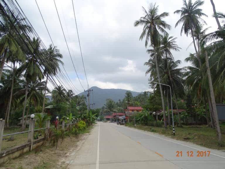 DSC03520