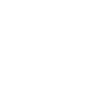 Government