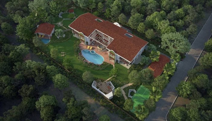 Estate de Frangipani
