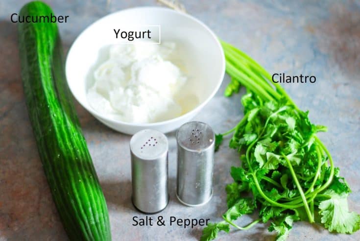 Easy 5 Ingredient dip