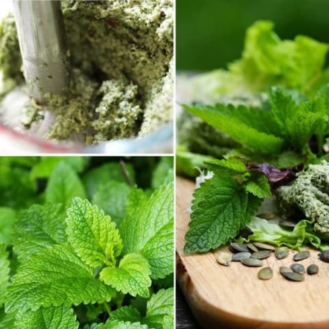 Lemon Balm, Ginger and Pumpkin Seed Pate