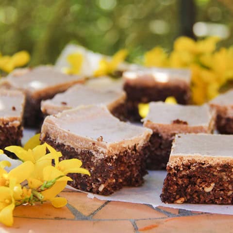 Raw cacao superfood brownies, with coconut, lucuma, walnuts, sunflower seeds, hemp seeds. Gluten-free, Vegan by Anastasia @ Kind Earth