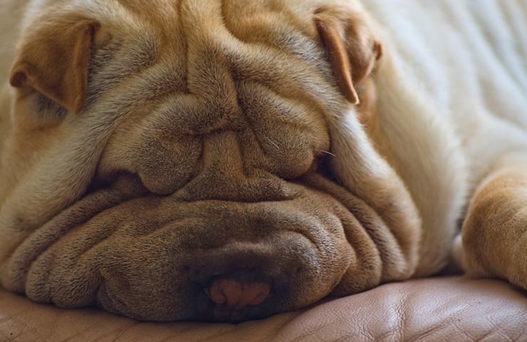 So, You've Got Wrinkles