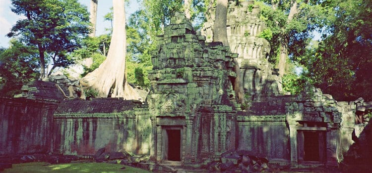 Big Circuit temples: Ta Prohm at Angkor Archeological Park The Big Circuit temples and the forces of nature
