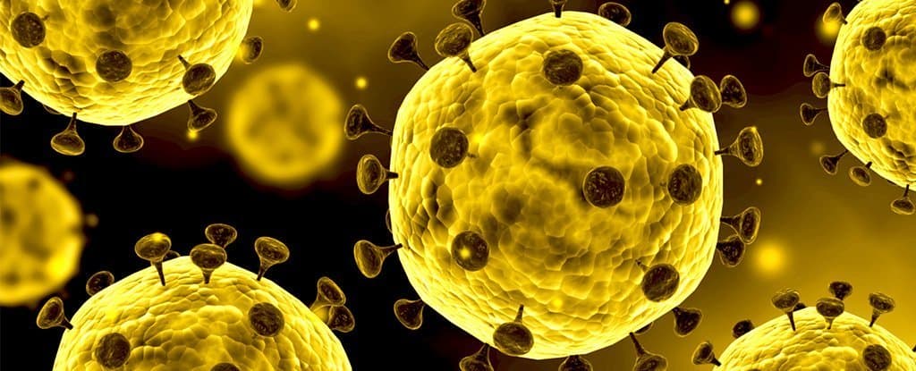 coronavirus meaning in hindi