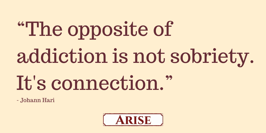Johann Hari quote Johann Hari quote "The opposite of addiction is not sobriety. It's connection."for blog post coping skills emergency plan