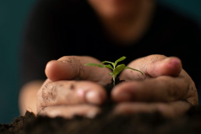 New USDA Hemp Regulations are a Game Changer for Hemp Farmers