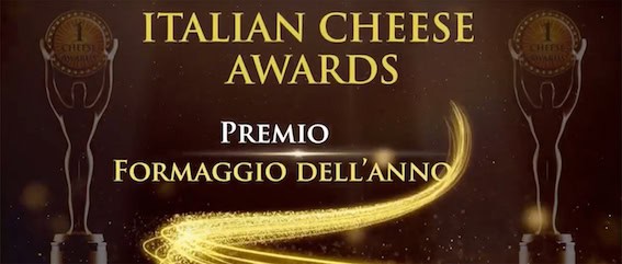 Formaggio del anno19