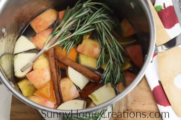 How to Create a Fall Simmer Pot - Stovetop