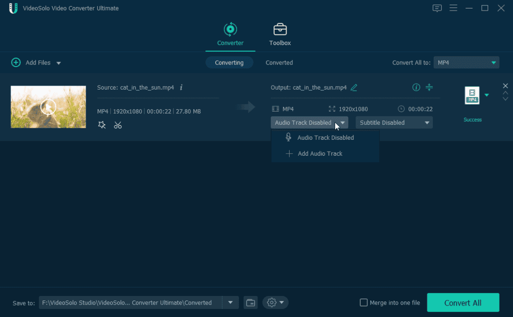 Customize Audio Tracks and Subtitles