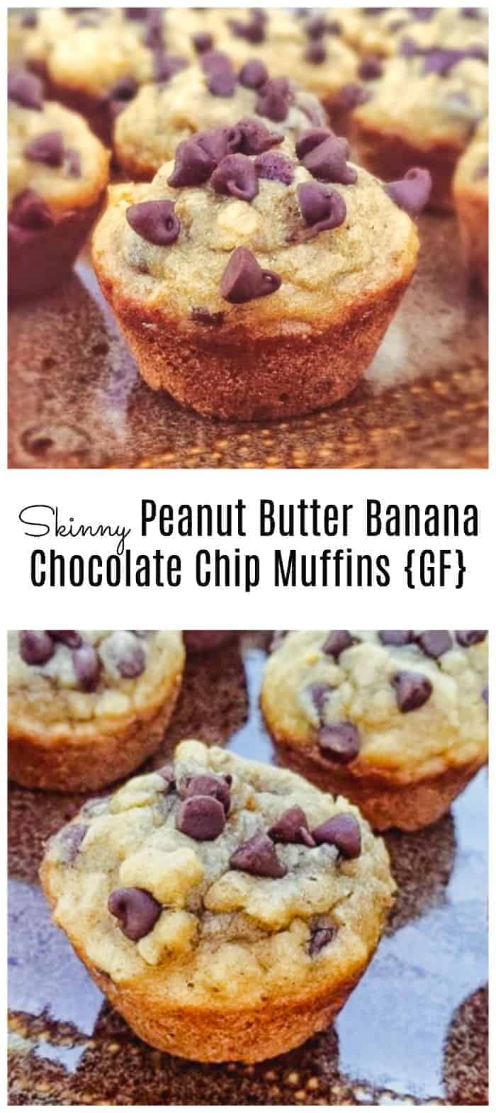 Skinny Peanut Butter Banana and Chocolate Muffins {GF} - These cute, little mini skinny muffins have no butter and no oil! ย :) The bananas do all the dirty work. Of course, peanut butter and chocolate chips for some extra yumminess! #peanutbutter #banana #chocolate #chocolate chip #muffins