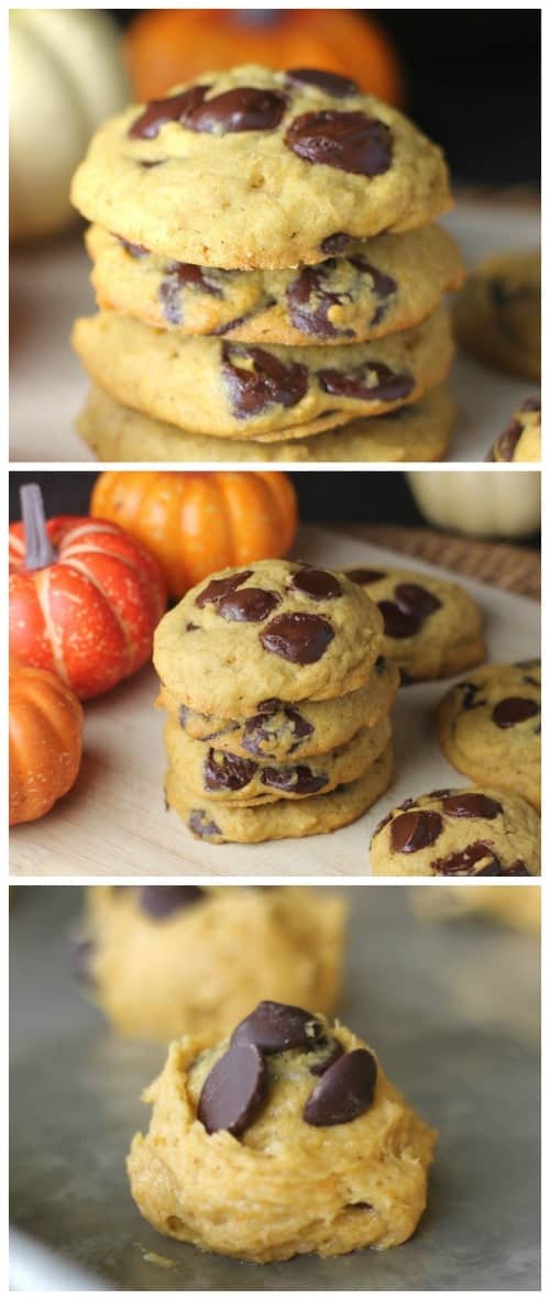 Awesome Chocolate Chip Pumpkin Cookies -Soft, exquisite pumpkin cookies adorned with luscious chocolate chips are AWESOME! Just in time for the 'pumpkin everything' season and one of the our favorite ways we like to incorporate pumpkin is in cookies! #pumpkin #cookies #chocolate chip #fall #thanksgiving #fall baking