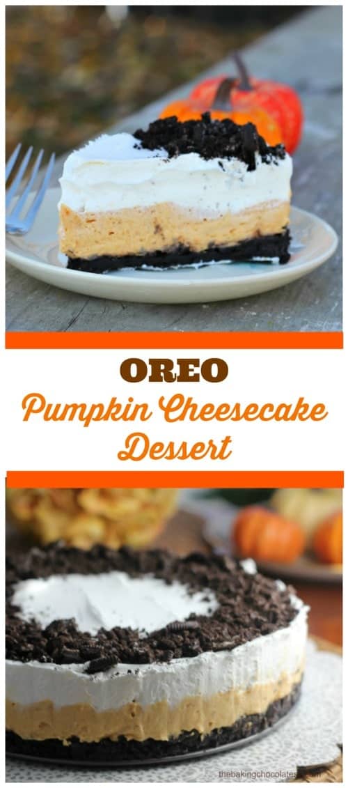 Oreo Pumpkin Cheesecake Dessert