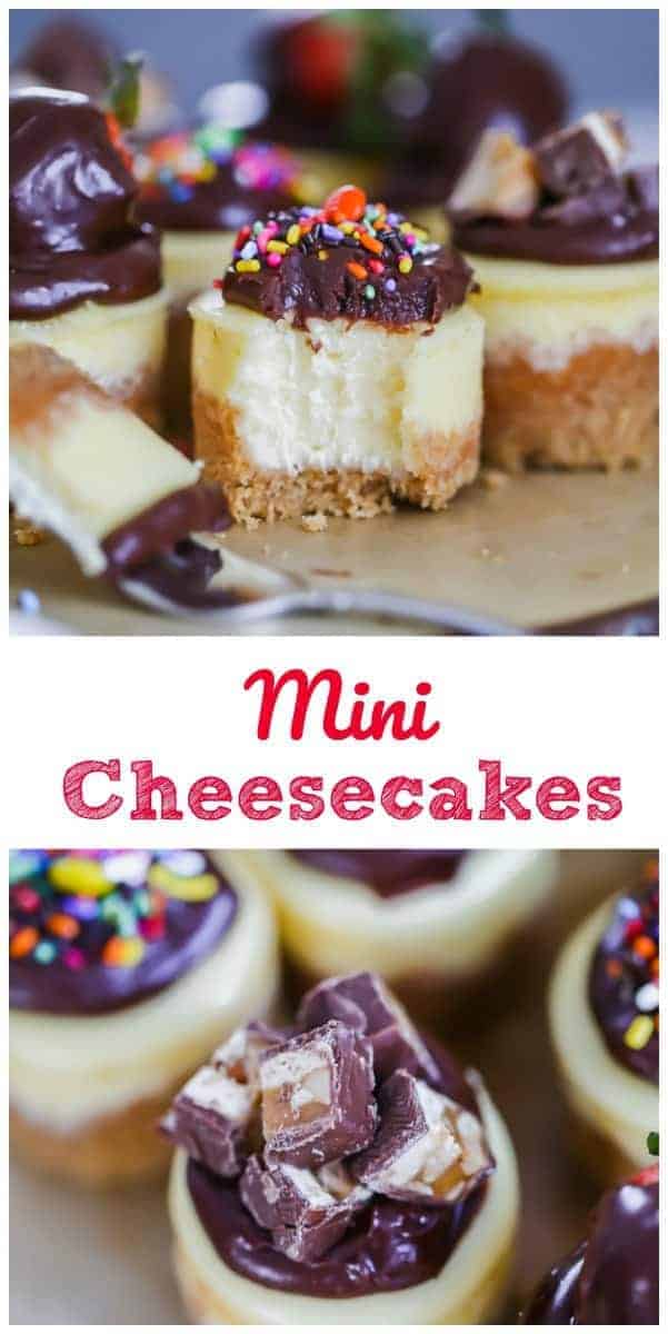 Mini Cheesecakes for Any Occasion!