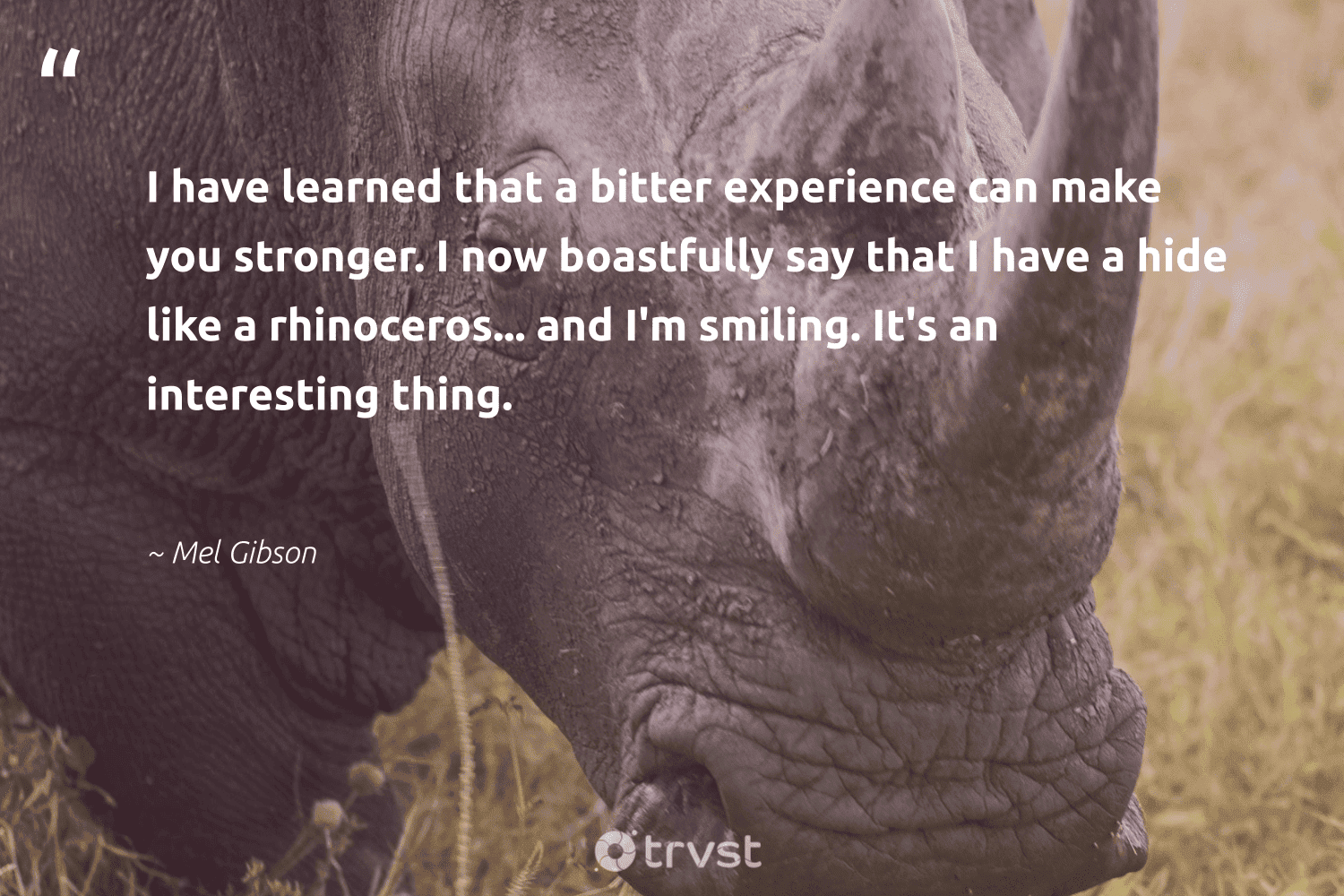12 Rhino Quotes & Famous Sayings About Rhinoceros