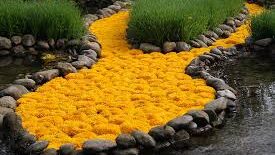 Jardin Extraordinaire tuin