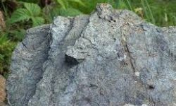 lherzolite mineraal gesteente