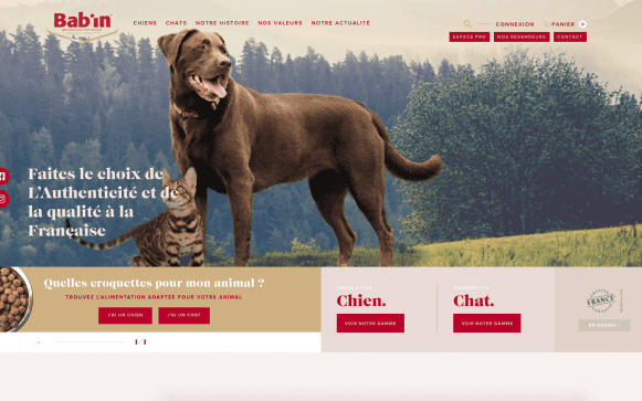 Capture d'écran du site internet Babin Nutrition