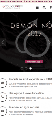 Capture d'écran du site internet mobile Toulouvin