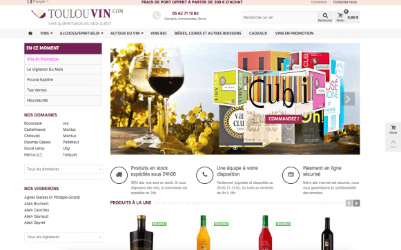 Capture d'écran du site internet Toulouvin