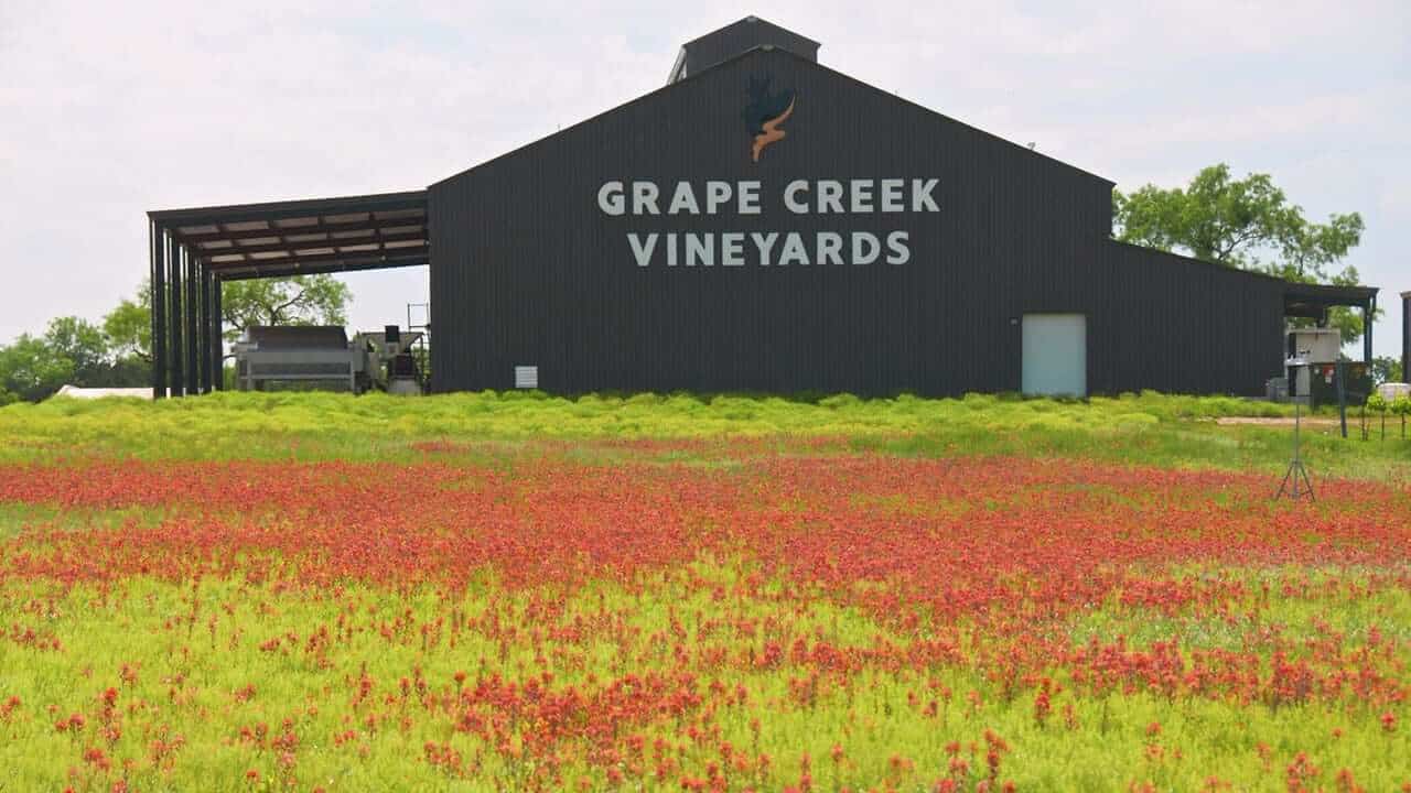 grape creek