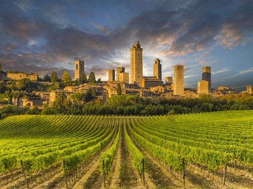 Discover Tuscany's Stunning Wine Region (Toscana) • Winetraveler
