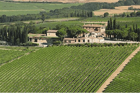 altesino winery