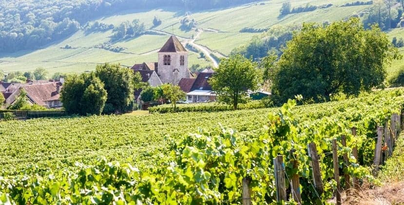 Learn About The Champagne Wine Region of France • Winetraveler