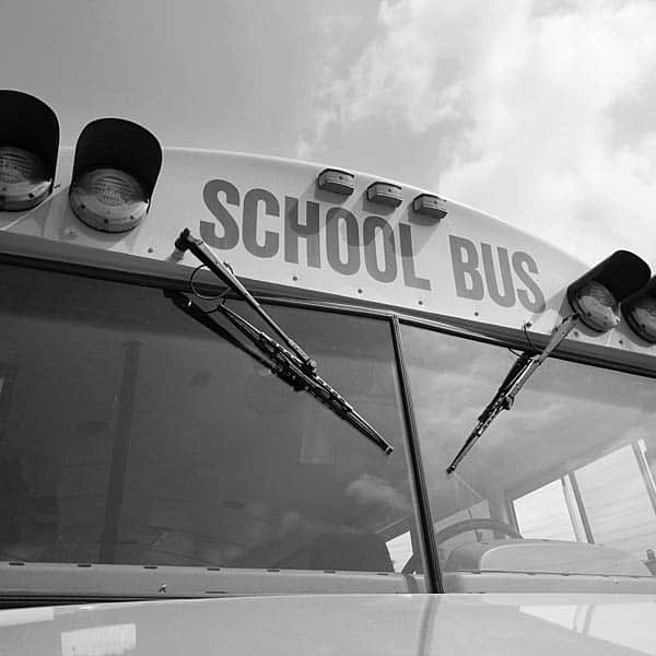 school bus School Bus