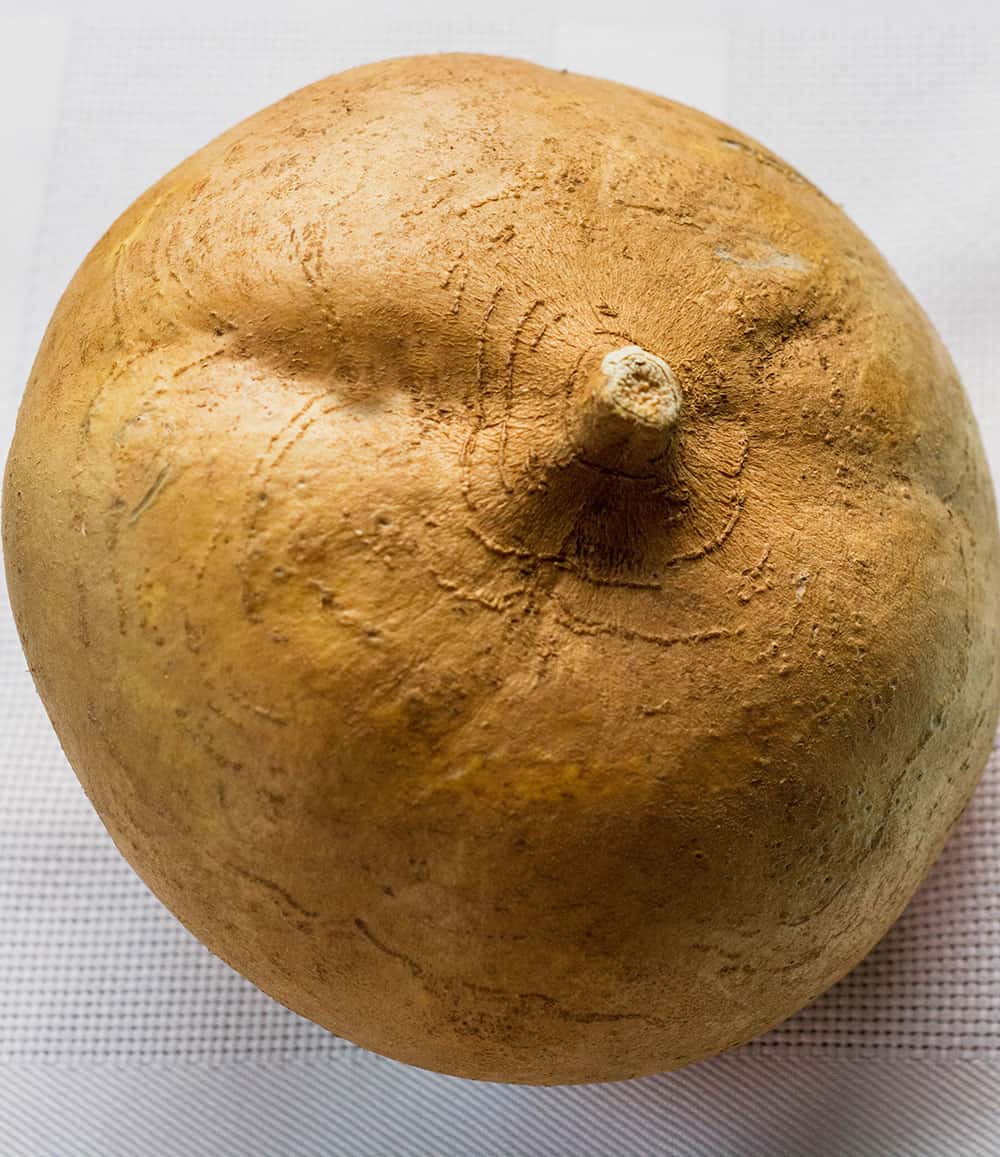Jicama Whole