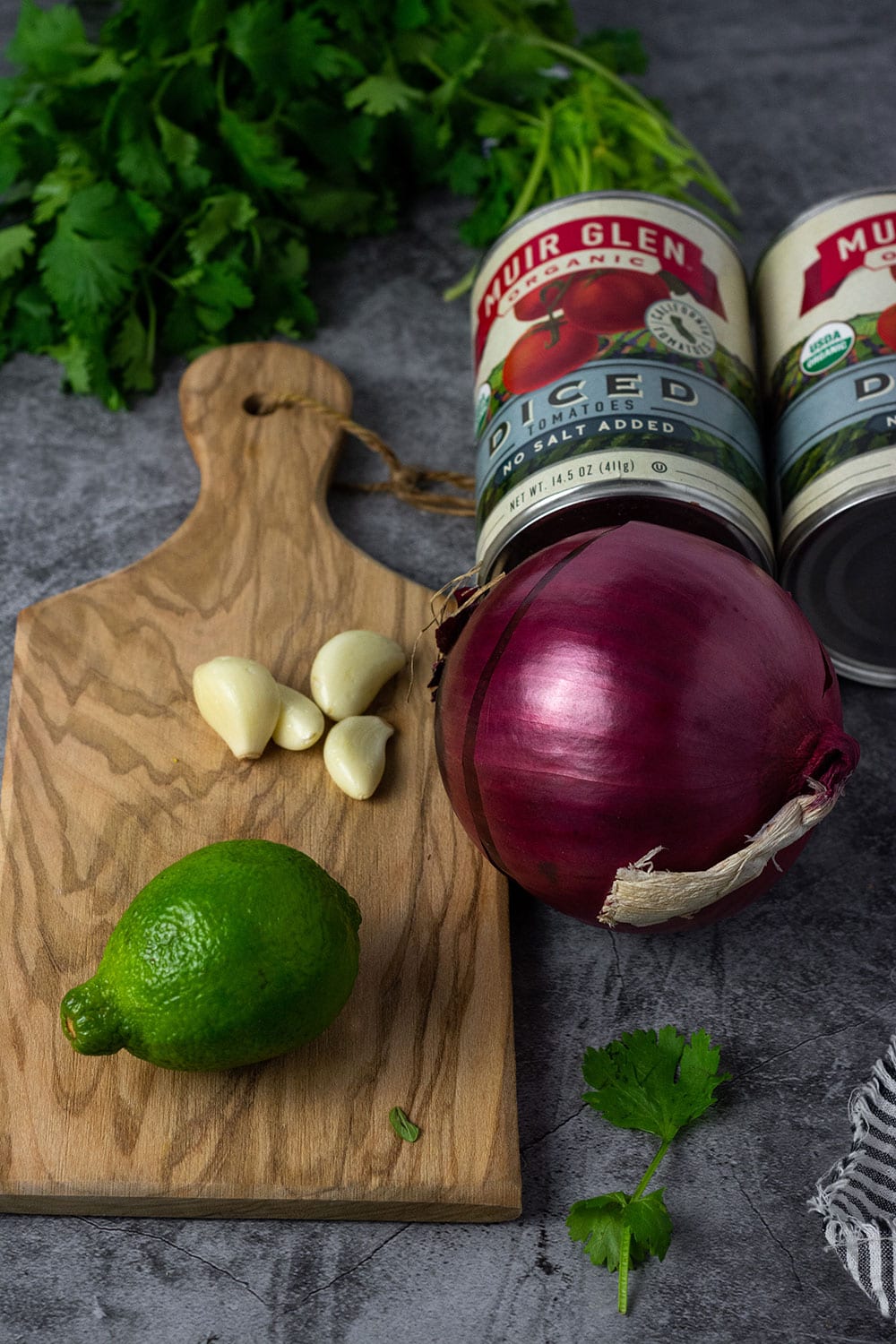 tomato salsa ingredients, chopped tomatoes, red onion, lime juice, garlic and cilantro