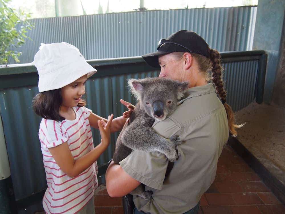 Billabong Zoo Port Macquarie