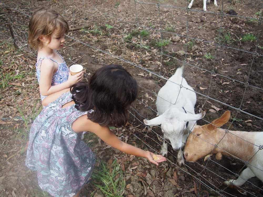 Telegraph Retreat Farmstay near Port Macquarie