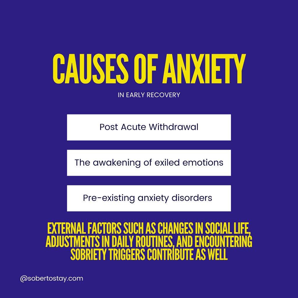 Early Sobriety and Anxiety: Overcoming the Initial Struggles 3 Early sobriety and anxiety Early Sobriety and Anxiety