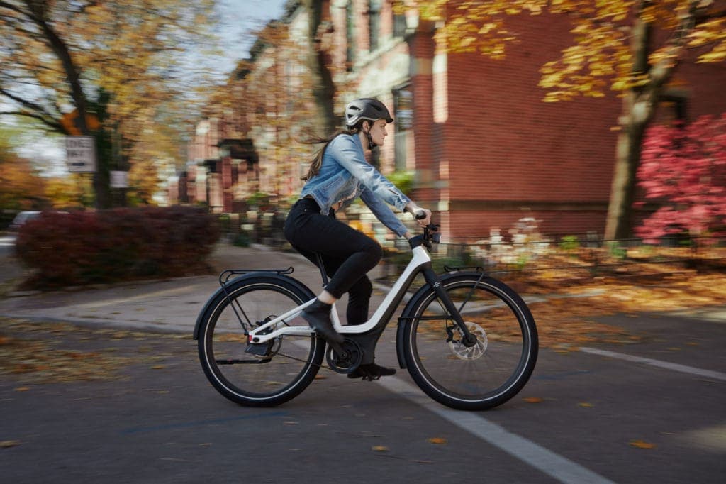SERIAL 1 - eBikes 16 RUSH CTY STEPTHRU Action Neighborhood 1