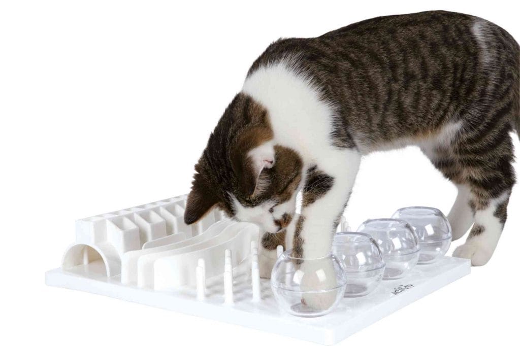 Cat playing with Trixie Activity Board