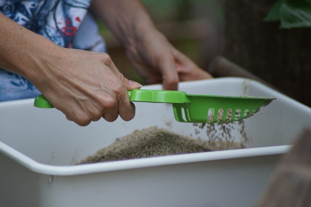 Image of a litter box being scooped.