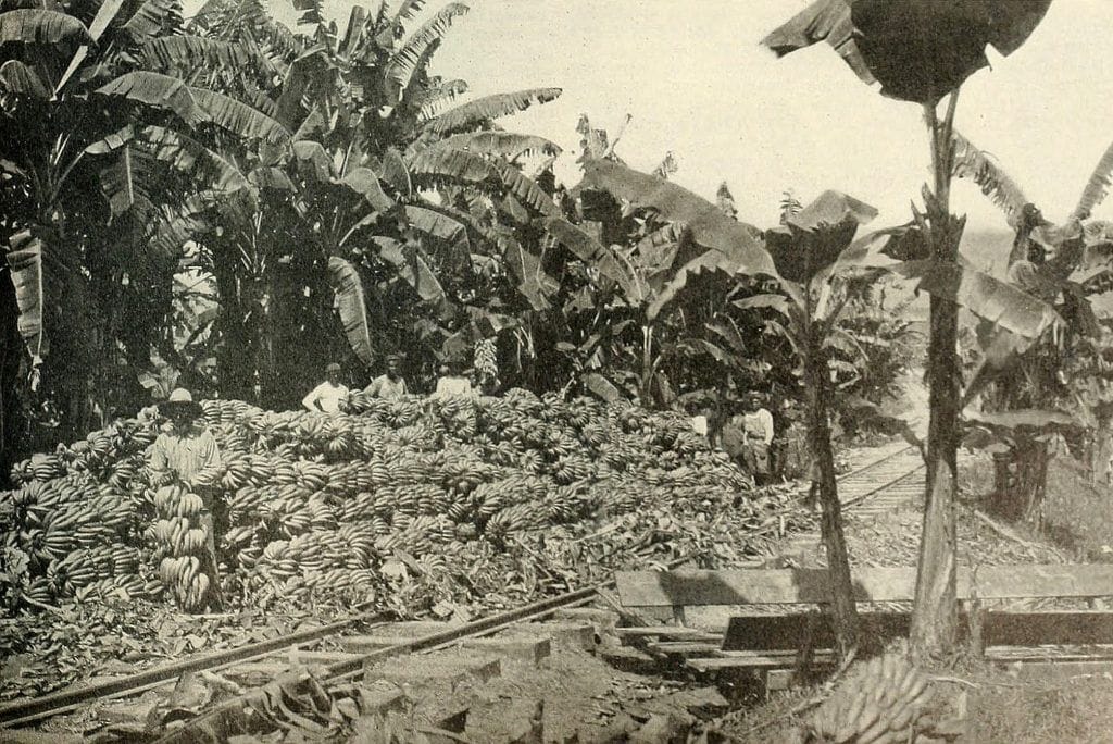 Ferrocarril y bananeras