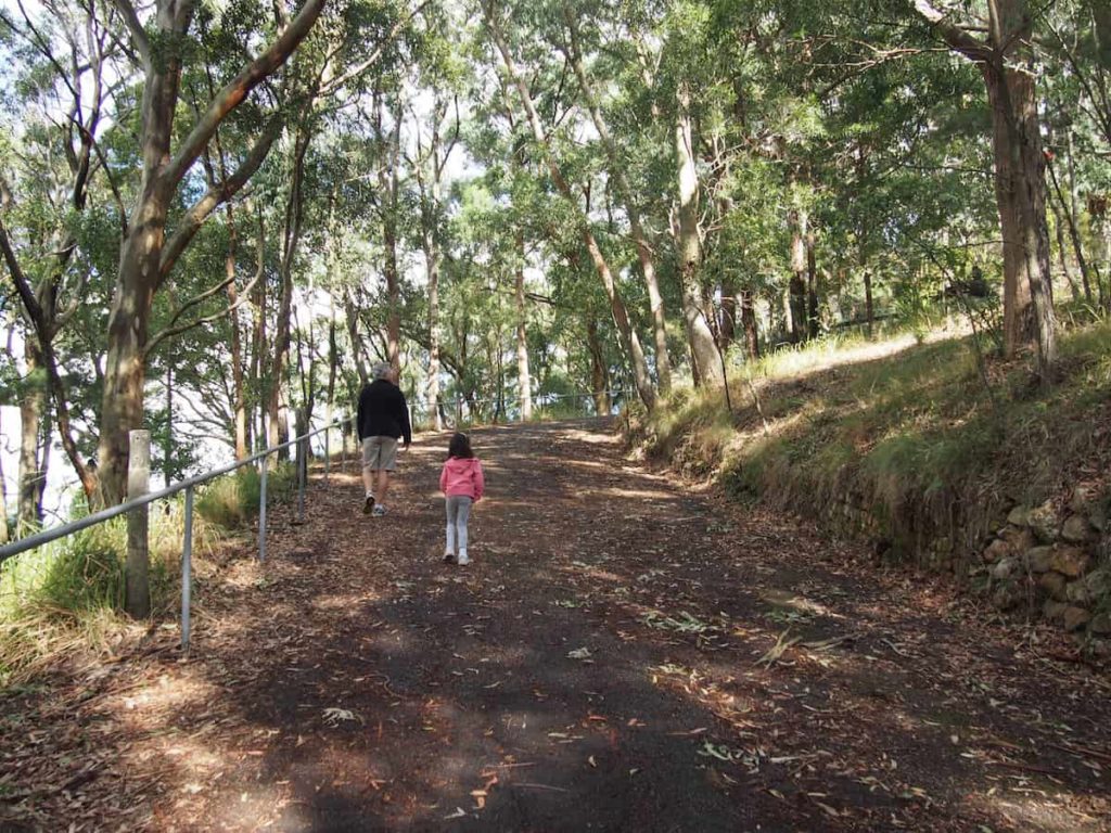 Mount Sugarloaf