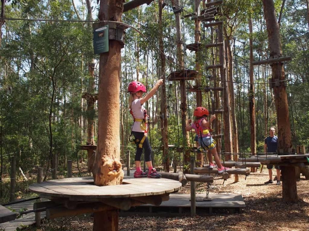 tree tops newcastle