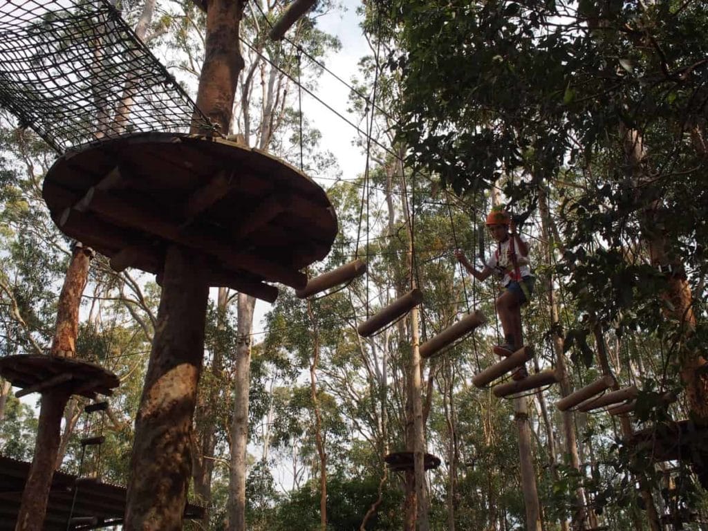 TreeTops Adventure Park Kids