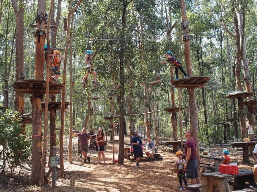 TreeTops Adventure Park Kids Newcastle