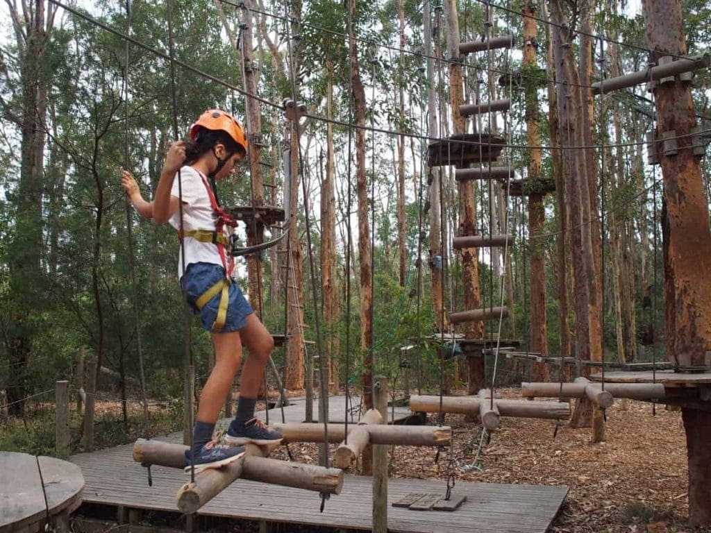 Treetops Newcastle
