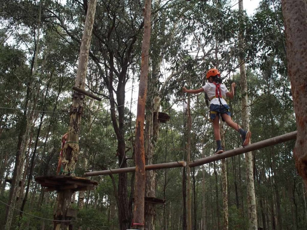 TreeTops Adventure Park Kids Climbing